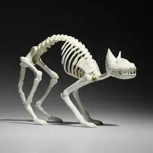 Sam Anderson, The Thirsty Cat, 2016, epoxy clay over plastic skeleton