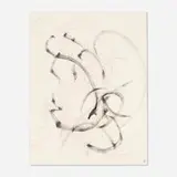 Dora Maar, Untitled