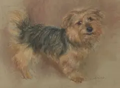 Neil Forster, Untitled, pastel 35.5 x 45.5cm .