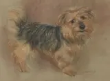 Neil Forster, Untitled, pastel 35.5 x 45.5cm .
