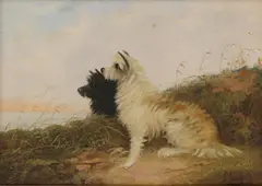 Edward Armfield, Untitled, oil on canvas 38.5 x 50.5cm