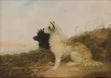 Edward Armfield, Untitled, oil on canvas 38.5 x 50.5cm