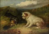 George Armfield, Untitled