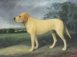 Norman Webster, Untitled, oil on board 56 x 76.5cm .