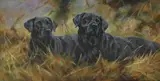 John Trickett, Untitled, oil on canvas 40 x 76cm .
