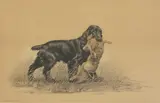 Léon Danchin, Untitled, both signed 'Léon Danchin' in pencil l.l.