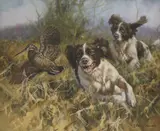 John Trickett, Untitled, oil on canvas 51 x 60.5cm .