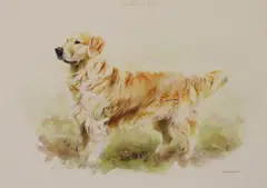 Mandy E Shepherd, Untitled, pastel 32 x 42.5cm