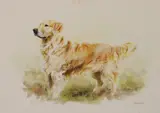 Mandy E Shepherd, Untitled, pastel 32 x 42.5cm