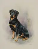 Mandy E Shepherd, Untitled, pastel 46.4 x 37.6cm
