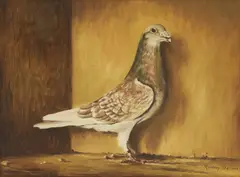 Rodney Charman, Untitled, oil on board 35.5 x 46cm (2) .