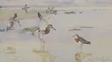 Frank Southgate, Untitled, watercolour 29 x 17cm Provenance: The residual contents of Bixley Manor