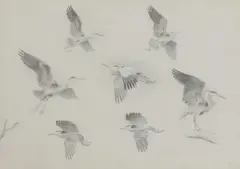 John Cyril Harrison, Untitled, pencil 24 x 33.5cm Provenance: With the Tryon Gallery