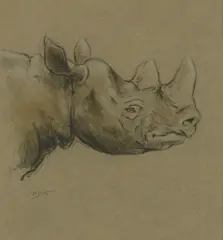 Raymond John Vandenbergh, Untitled, pencil and pastel largest measures 40 x 26.5cm and smaller (8) .