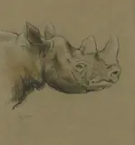 Raymond John Vandenbergh, Untitled, pencil and pastel largest measures 40 x 26.5cm and smaller (8) .
