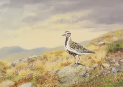 Untitled by Richard Robjent, watercolour 25.5 x 35cm ., sold May 2022