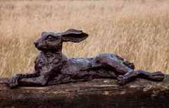 John Cox, Untitled, John Cox (1952-2014) Lying hare bronze with brown patina