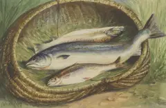 Chris Meadows, Untitled, watercolour 33 x 47.5cm