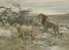 Fritz Laube, Untitled, oil on canvas 50.2 x 70.5cm .