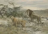 Fritz Laube, Untitled, oil on canvas 50.2 x 70.5cm .