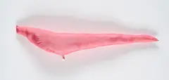 Susi Susi Pop, Ohne Titel, Seide, Watte, Faden, Etikett