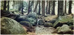 Jörg Sasse, 4262, 1995, C-Print