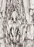 Heidi Specker, Marmor, 2010, Archival Fine Art Print