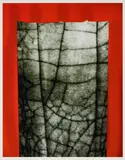 Rosemarie Trockel, Ohne Titel