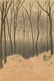 Gustav Wunderwald, Ohne Titel, Farbstift auf chamoisfarbenem Velin
