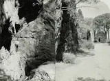 Gerald Domenig, Ohne Titel, 1995, 2 Gelatinesilberabzüge, ein Abzug abgerundet, aneinander montiert