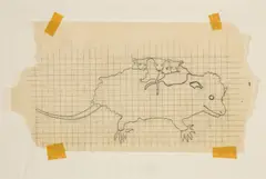 Ohne Titel by John Wesley, 1965, Bleistift auf Transparentpapier, sold Sep 2024