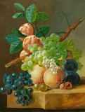 Johannes Cornelis de  Bruyn, Früchte-Stillleben, Öl auf Leinwand