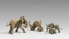 Francois van den Berghe, Elephants