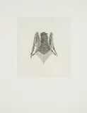 Kiki Smith, B.A.T. (back)