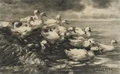 Alexander Koester, Enten am Ufer, Kohle auf Papier