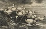 Alexander Koester, Enten am Ufer, Kohle auf Papier