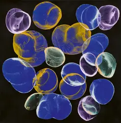 Ohne Titel by Jiří Georg Dokoupil, 2019, Seifenlauge und Pigment auf Leinwand, sold Nov 2024