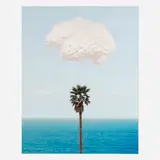 Brain/Cloud (with Seascape and Palm Tree) by John Baldessari, 2009, inkjet on Hahnemühle photo rag 308gsm with archival ink, sold Jun 2023