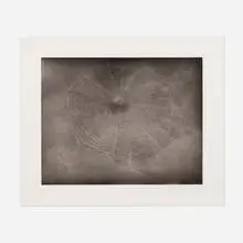 Untitled (Web 3) by Vija Celmins, 2002, aquatint and drypoint on Hahnemühle Copperplate, sold Jun 2023