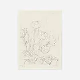Richard Diebenkorn, Tulips, 1989, soft-ground etching on Rives