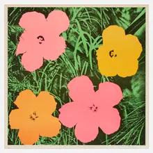 Andy Warhol, Flowers, 1964, offset lithograph on paper
