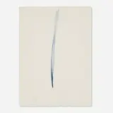 Paul Jenkins, Phenomena Quick Silver