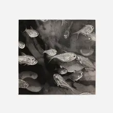 Wendy Meng, School of Fish (from 1776 USA 1976: Bicentennial Prints portfolio), lithograph