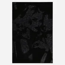 Marc Swanson, Anna Nicole, 2007, enamel, glass, glitter