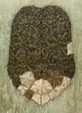 Dmitri Plavinsky, "Tortoiseshell", 1992, Mischtechnik auf Leinwand