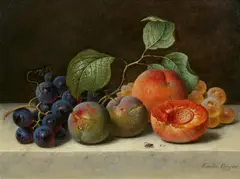Emilie Preyer, Stillleben mit Trauben, Reineclauden und Aprikosen auf einer Steinplatte, Öl auf Leinwand