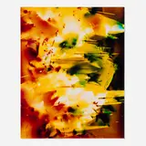 Bryan Graf, Trail Mix I, 2012, chromogenic photogram