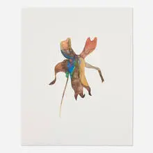 Tony DeLap, Point Roberts Flower, 2003, inkjet print
