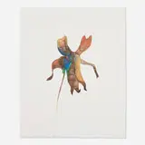 Tony DeLap, Point Roberts Flower