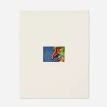Robert Lostutter, Crimson-Rumped Toucanet, 1989, etching with hand-coloring